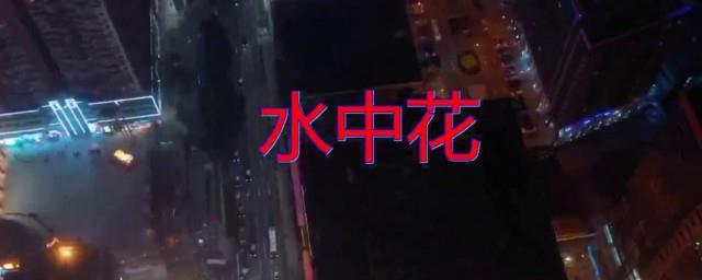 水中花歌词国语版