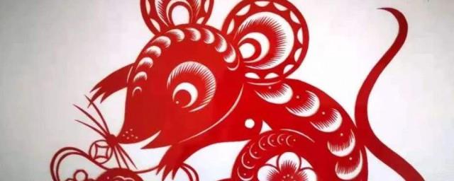 汗牛充栋是指什么生肖