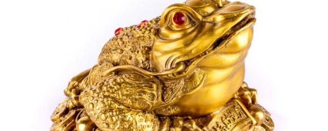 金蟾怎么摆放最好
