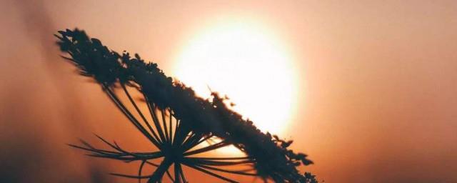 经典抖音最火的伤感句子