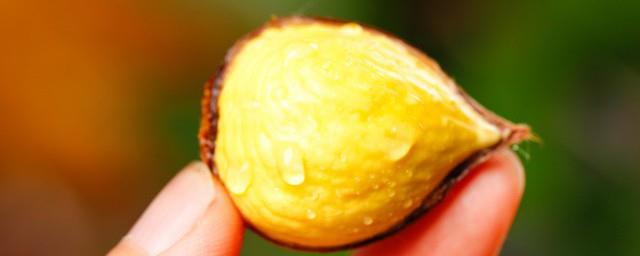 孕妇能吃栗子吗