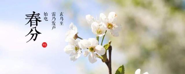 春分和惊蛰的区别是什么