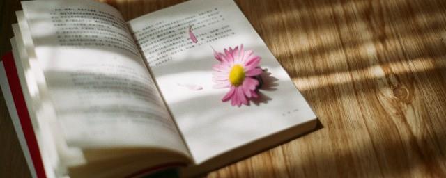 来日方长的唯美句子