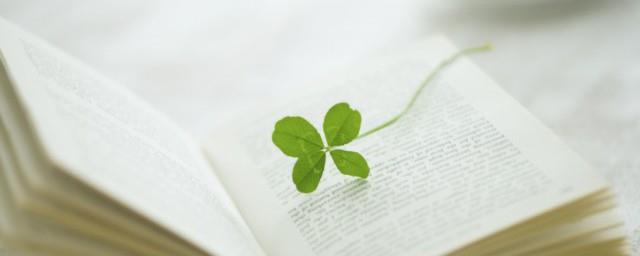 随薪锁欲是什么梗