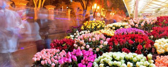 花名大全及花语