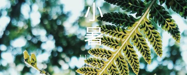 关于小暑的传说