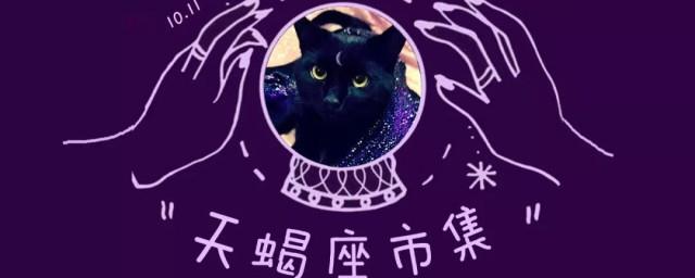 关于天蝎座的所有资料