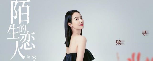 陌生的恋人编剧