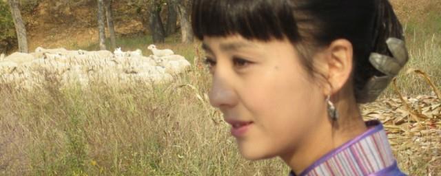 刀客家族的女人简介