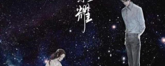你是我的荣耀小说简介
