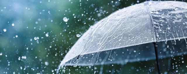 江南春雨杏花写一句话