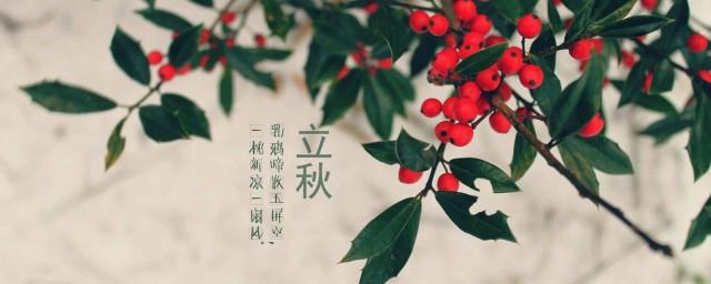 东北立秋吃什么