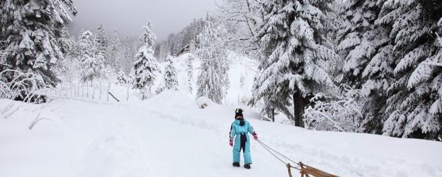 梦见下雪好不好