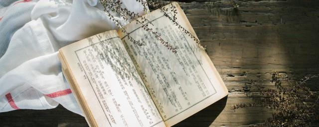让女生招架不住的肉麻情话
