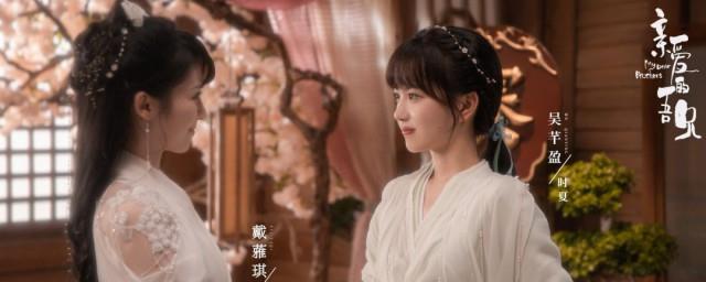 亲爱的吾兄演员表