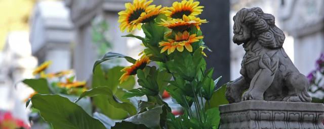 清明节扫墓还是重阳节扫墓
