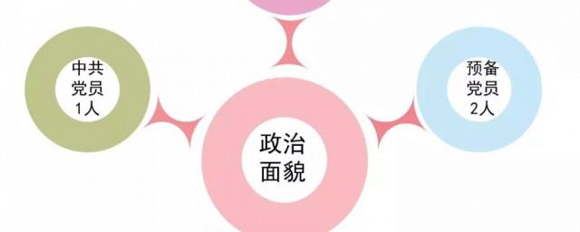 学生的政治面貌怎么填