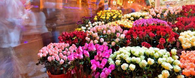 春节摆放什么花吉利