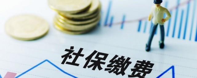 社保怎么自己交