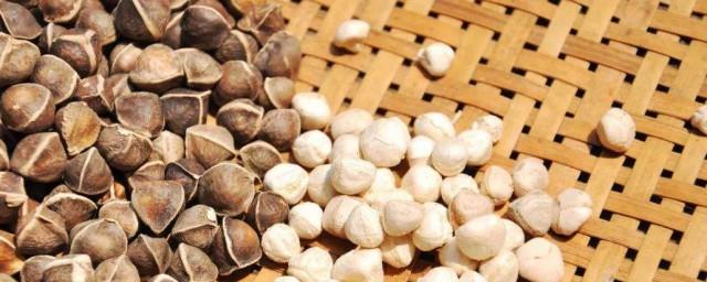 孕妇不宜食用辣木籽
