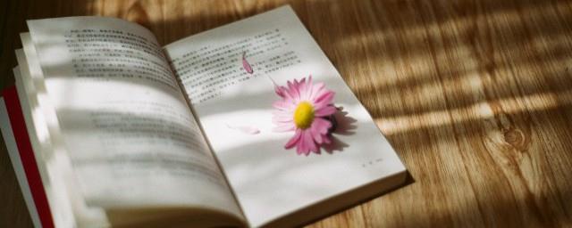 烦人的说说