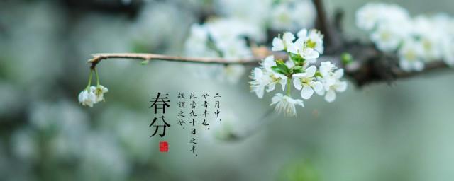 2022年春分节气是哪一天