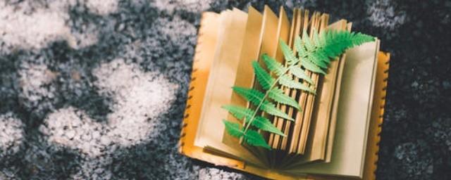 唐朝皇帝顺序是什么
