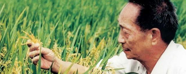 名人对袁隆平评价的句子