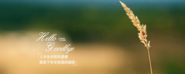 上半年已过下半年说说