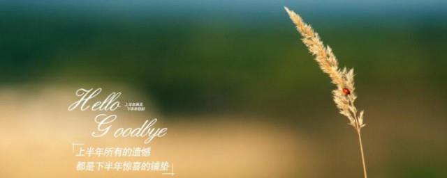 半年已过说说