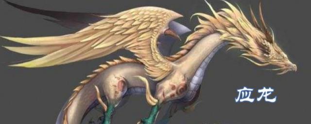 应龙是什么龙