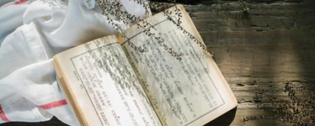 小说作者简介