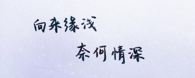 情深奈何缘浅的上句是什么