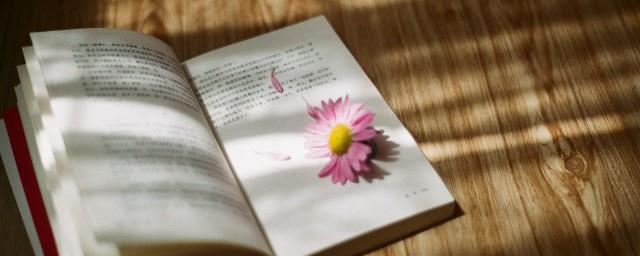 ut是什么意思