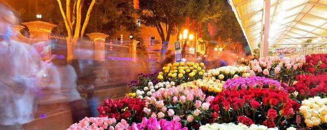 温室里的花朵是什么意思