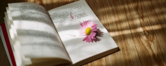郭德纲名言哲理道理