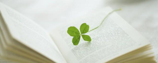 简短走心的情话
