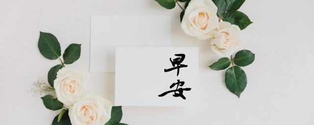 2022最火的早安句子