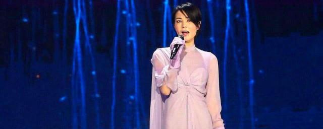 人间王菲歌词意思