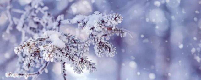 小雪有什么风俗活动