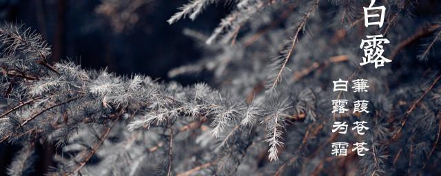 白露时节吃什么