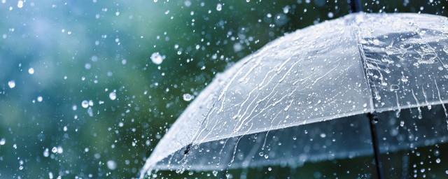 春分节气下雨好还是不下雨好