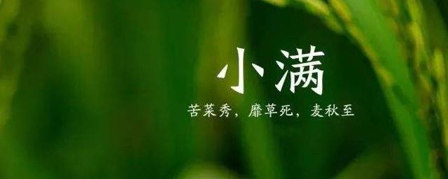 小满节气祝福语