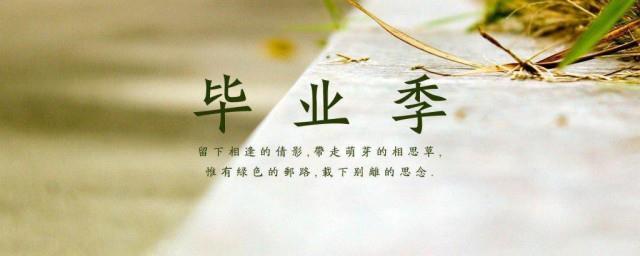 高三毕业寄语唯美句子