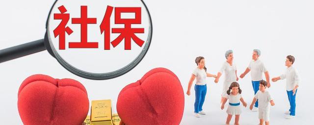 怎么查社保号