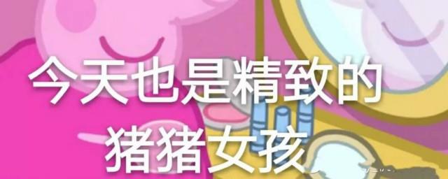 网络流行语精致的猪猪女孩