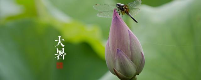 2021大暑节气朋友圈文案