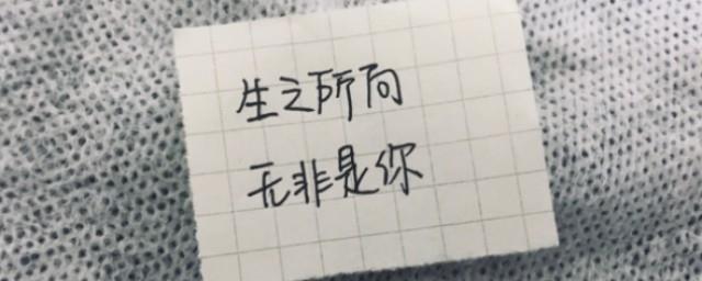 写给对象的情话短句