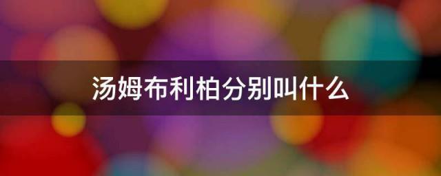 汤姆布利柏分别叫什么