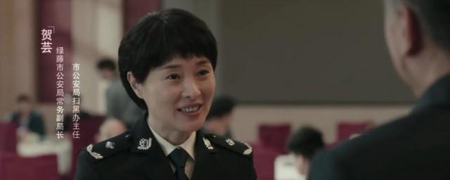 扫黑风暴原型贺云